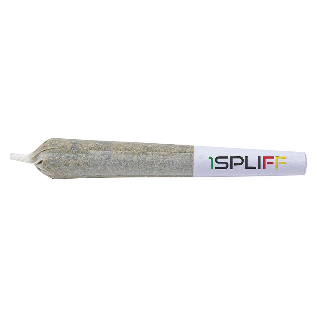 Cannabis Product Purple Aya Pre-Roll by 1SPLIFF
