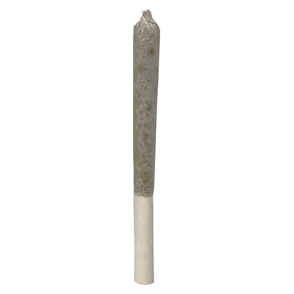 Cannabis Product Purple Gelato Punch Pre-Roll by Full Sesh