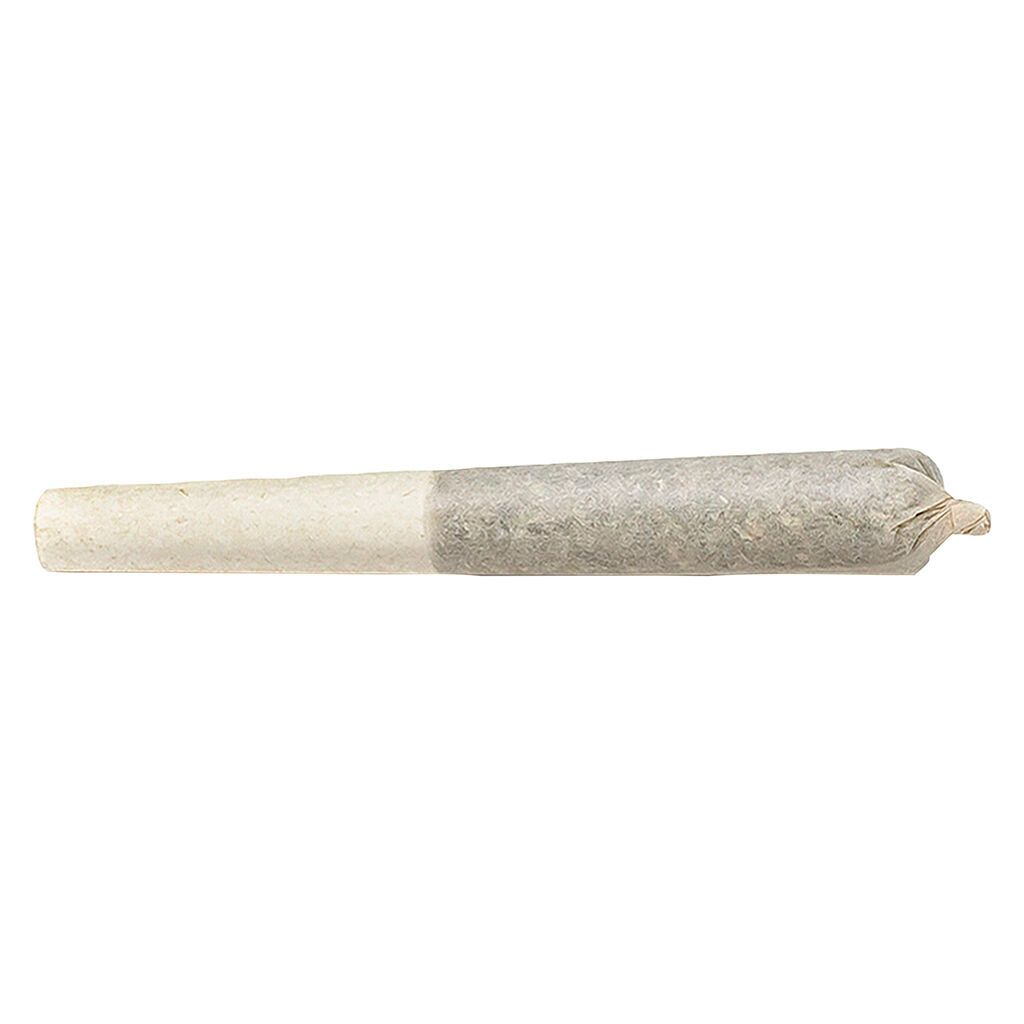 Cannabis Product Rotterdam n' Black Infused Pre-Roll by Highly Dutch Organic